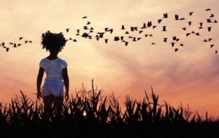 child with birds flying